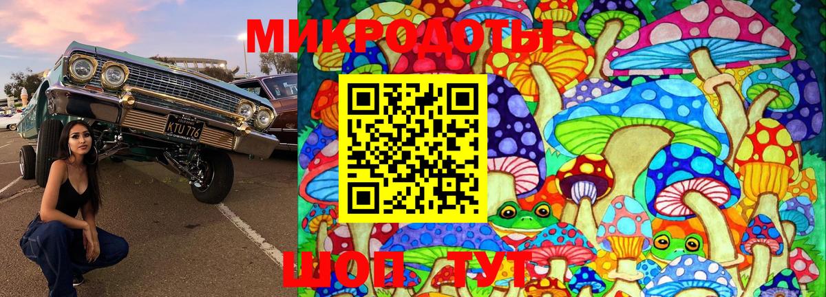 Михайловск  Псилоцибиновые грибы Cubensis  Вход с VPN 