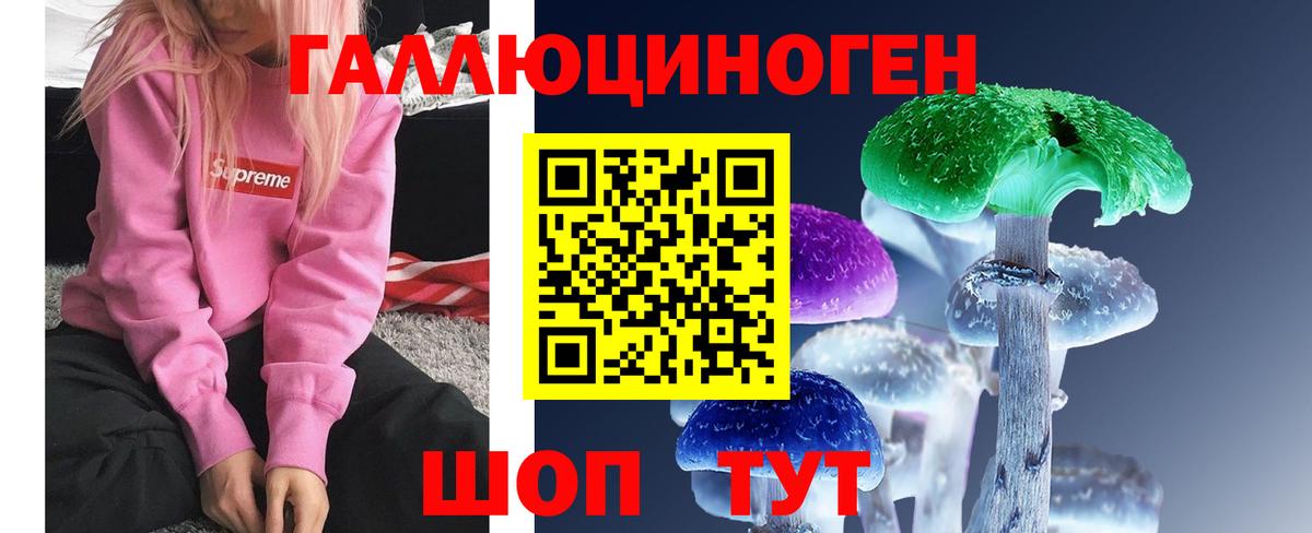 Псилоцибиновые грибы Psilocybe Михайловск